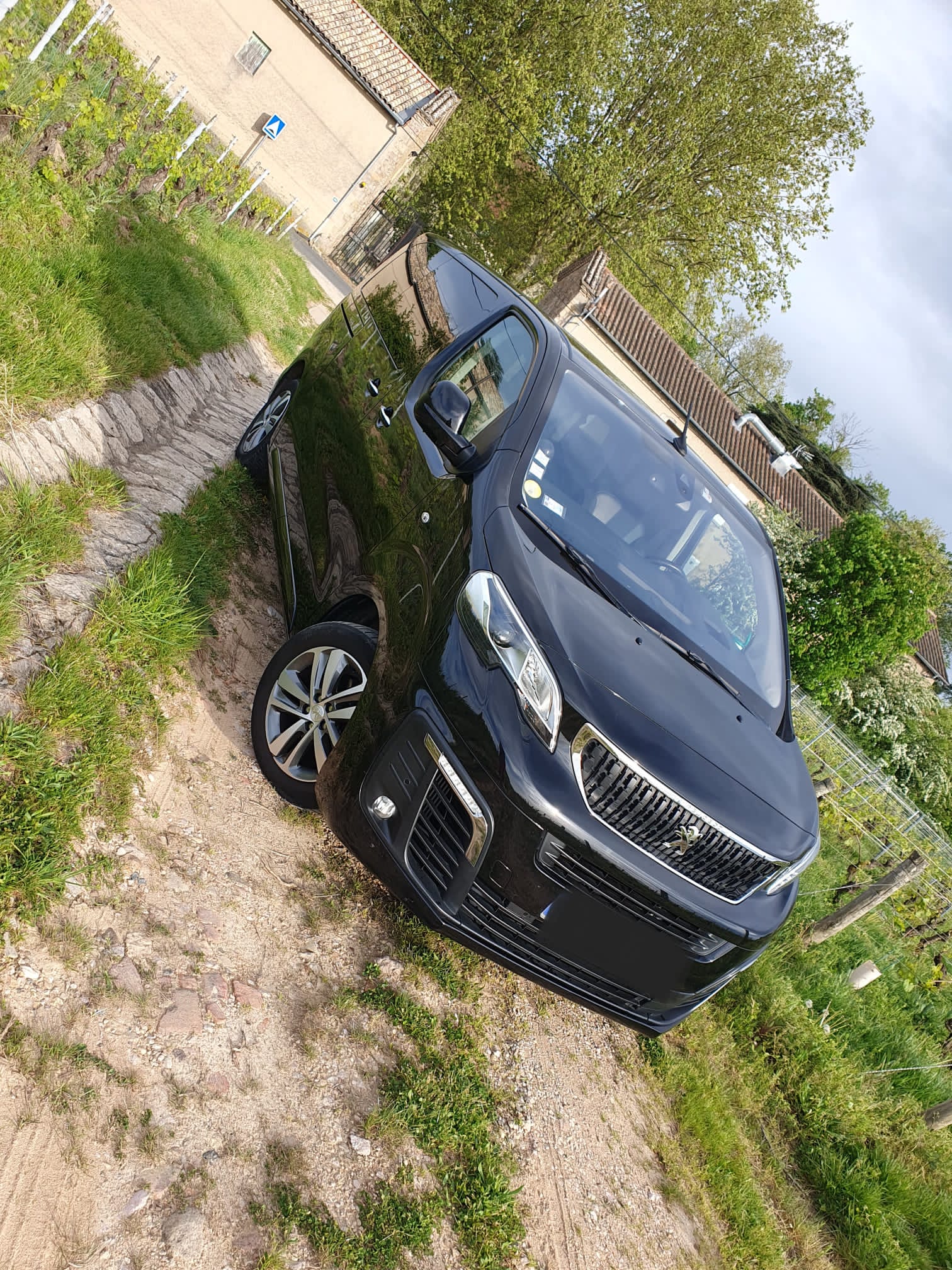 PEUGEOT TRAVELLER